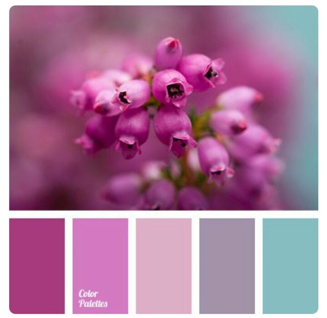 Novas inspirações paleta de cores - 14