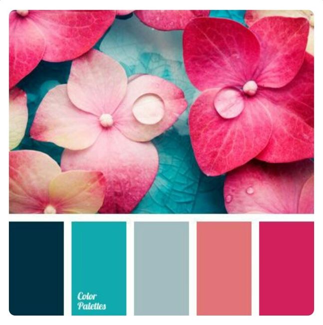 Novas inspirações paleta de cores - 15