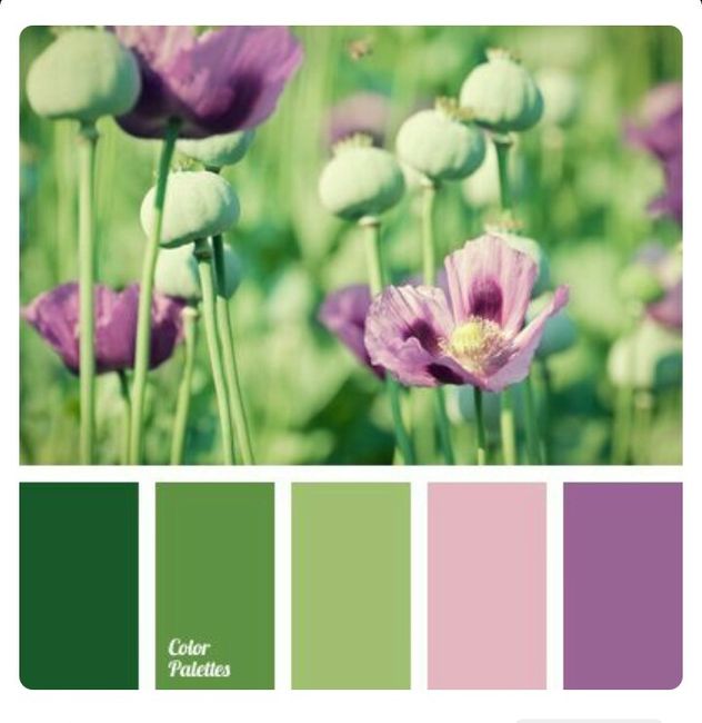 Novas inspirações paleta de cores - 16