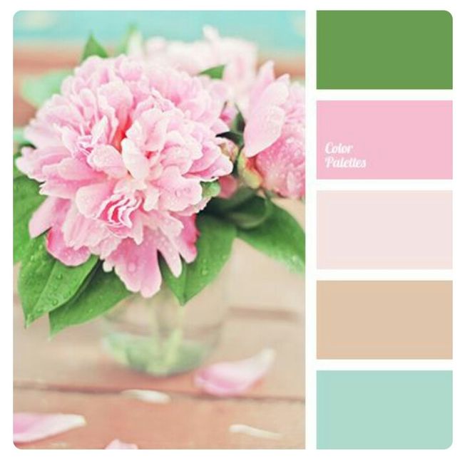 Novas inspirações paleta de cores - 17