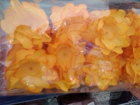 forminhas 