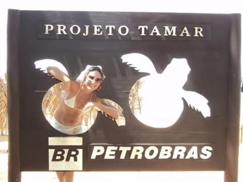 Projeto Tamar!!