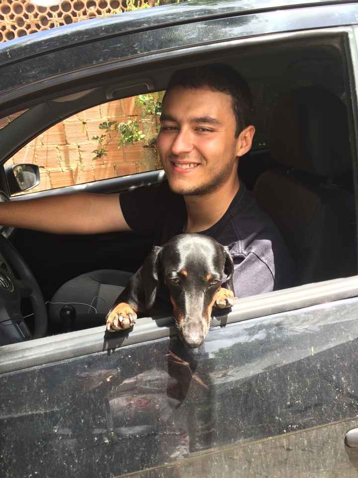 Cachorro como pajens - 1