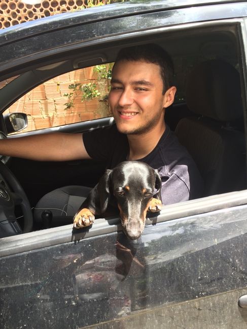 Cachorro como pajens - 1