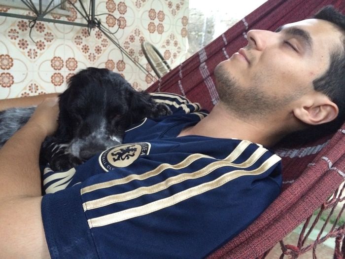 Cachorro como pajens - 5