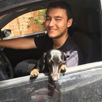 Cachorro como pajens - 1