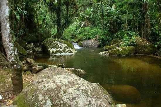 Cachoeira que corre no meio da pousada 