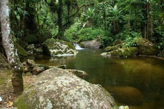 Cachoeira que corre no meio da pousada 