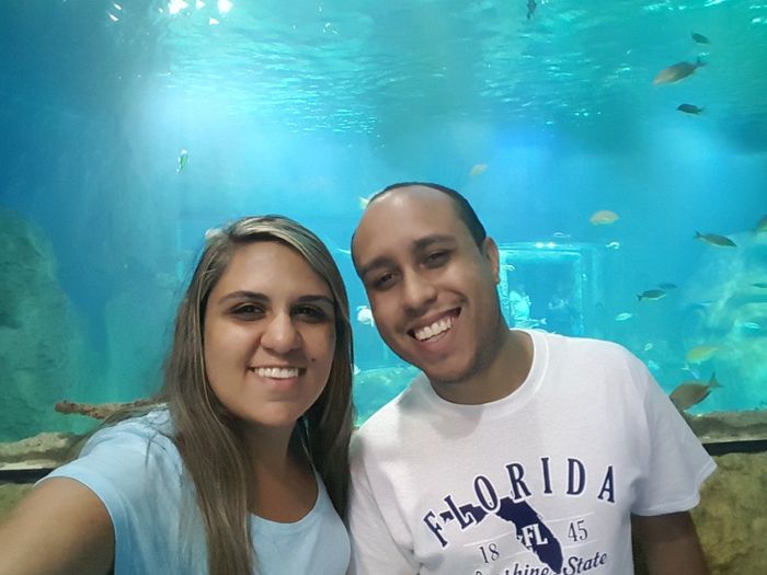 Sea Life