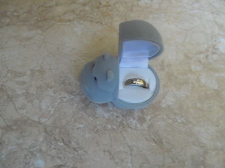 meu hipopotamo
