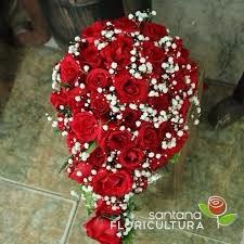 flores vermelhas