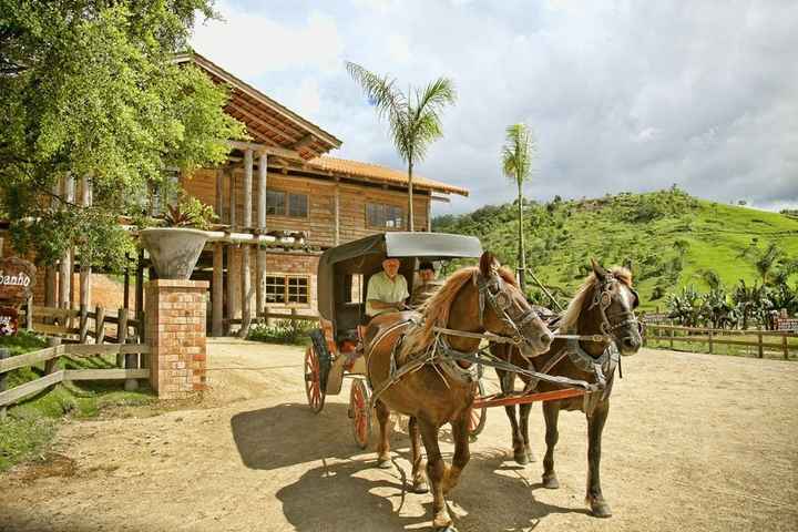 Fazzenda Park Hotel - cavalos