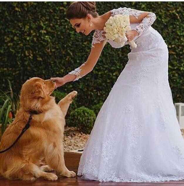 O cachorro na cerimônia 😍🐶 - 4