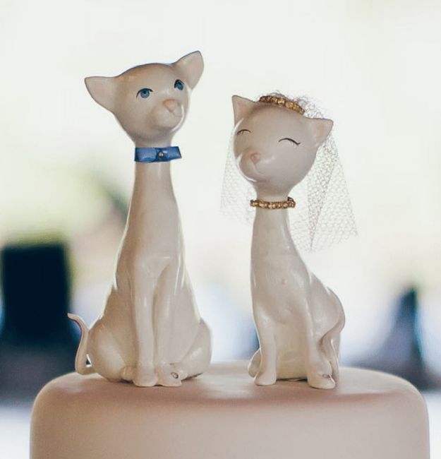 Topo de animais