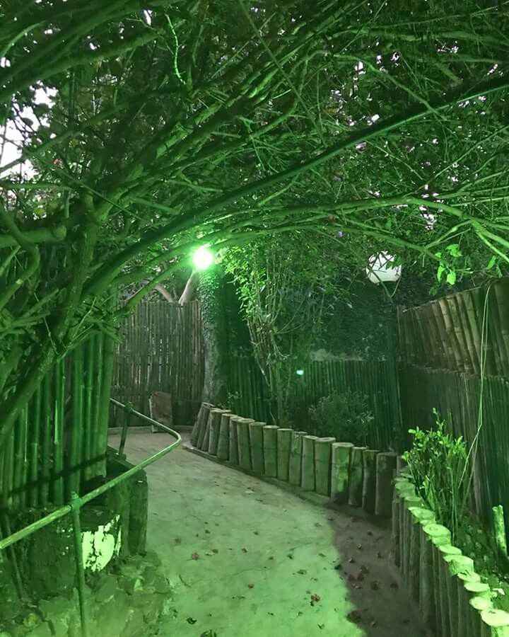 Isso está em conta ou não?! - 2