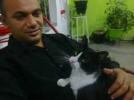 DOIS GATINHOS...