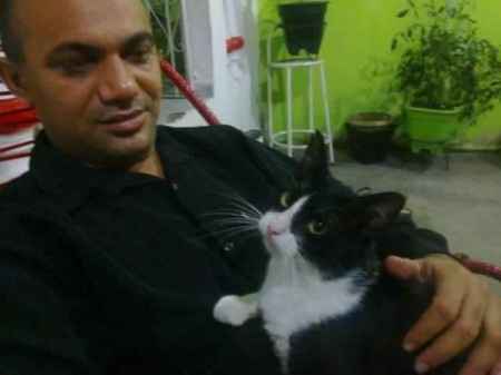 DOIS GATINHOS...