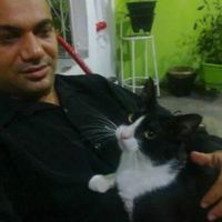 DOIS GATINHOS...