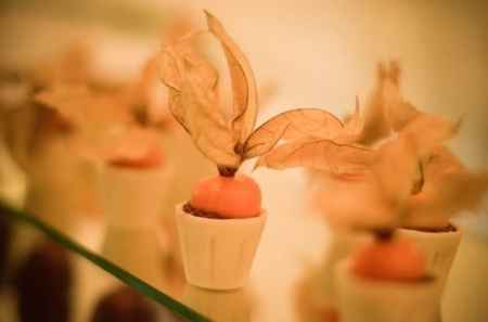 Doces belgas