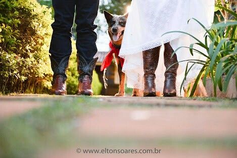 Cachorros participando da cerimônia, o que acham? 5