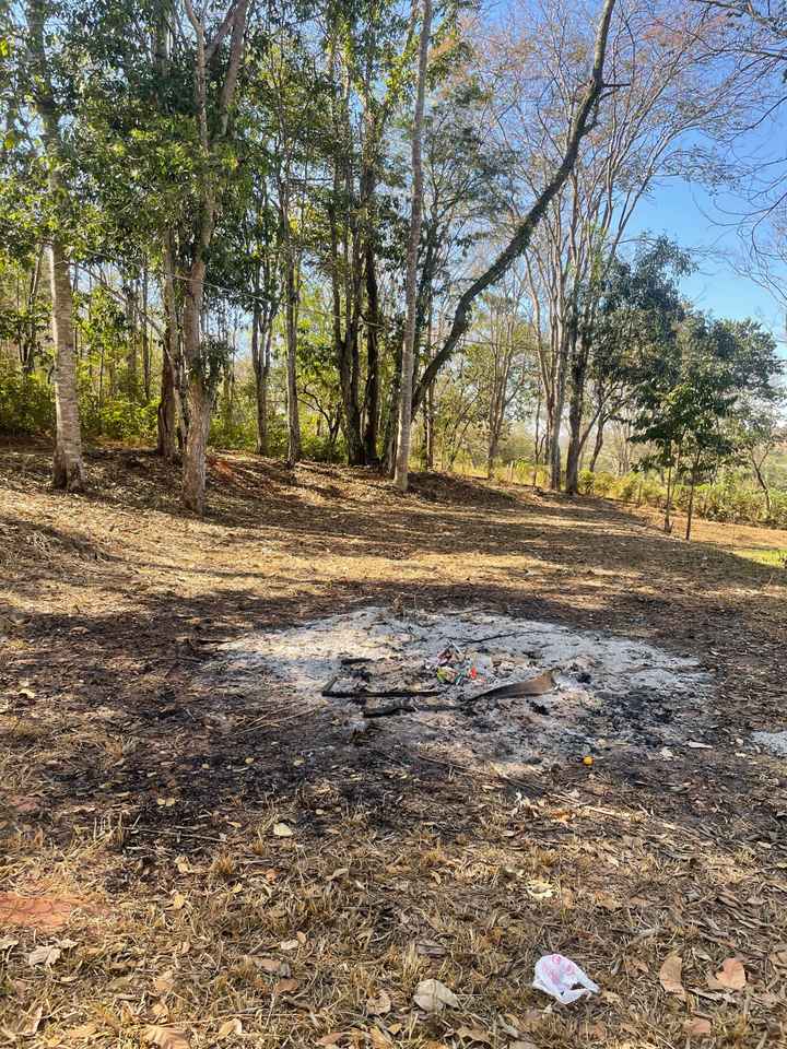 Noivos que se casam  em 18 de Julho de 2026 em Goiás - 1