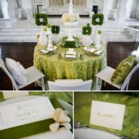 Decoração verde