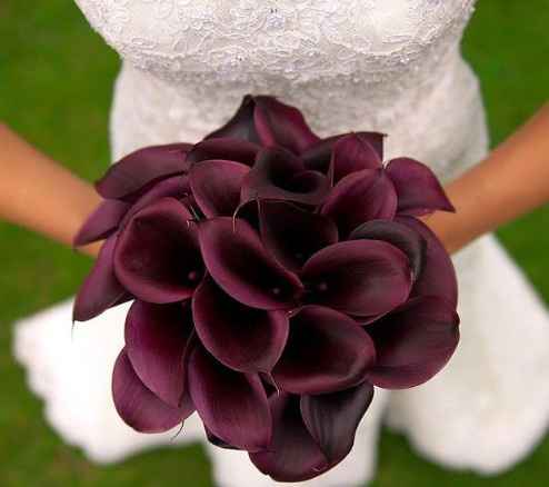 Callas Negras