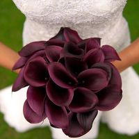 Callas Negras