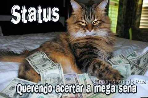 Humor para noivas: status de toda noiva - 1