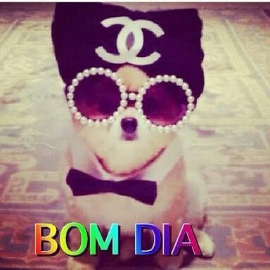 O dia é seu! - 1