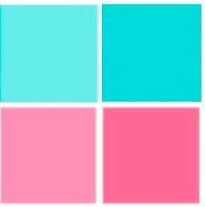 PALETA ROSA E VERDE