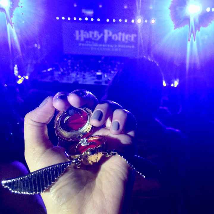 Fui pedida em Casamento no Harry Potter in Concert - 2