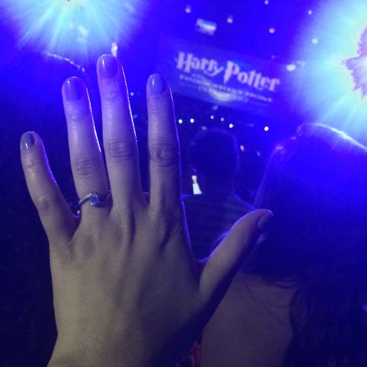 Fui pedida em Casamento no Harry Potter in Concert - 9