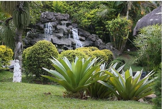 Jardim