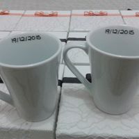 Canecas