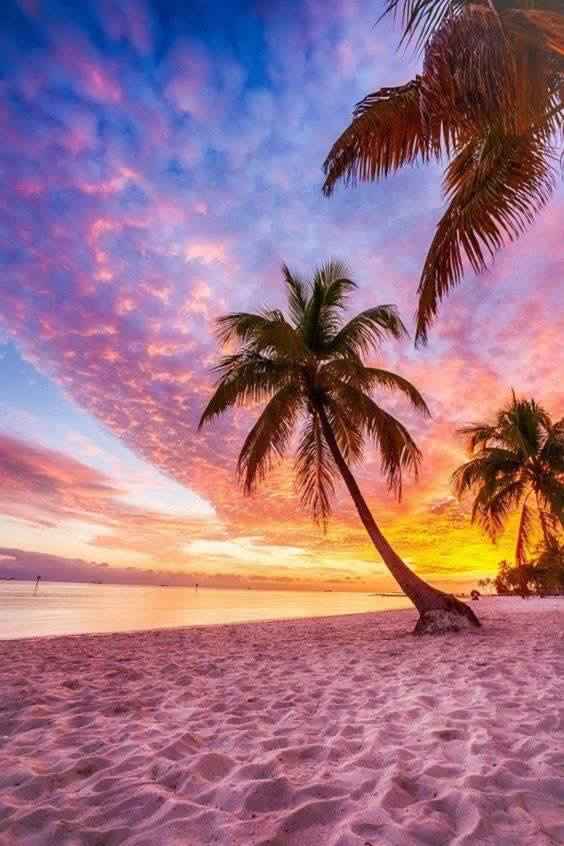  Qual sonho que gostariabde realizar e qual sonho já realizou junto com seu grande amor!!!???? - 1