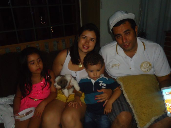 meus amores