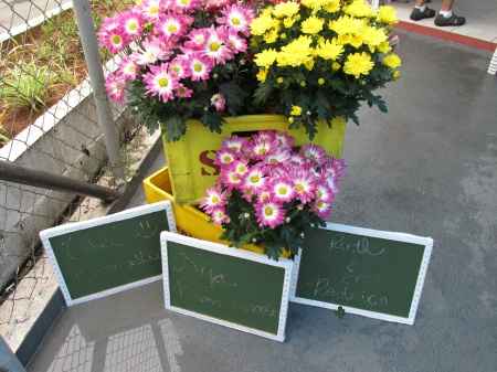 placas de bem vindo