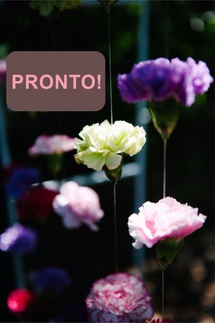 cortina de flores 