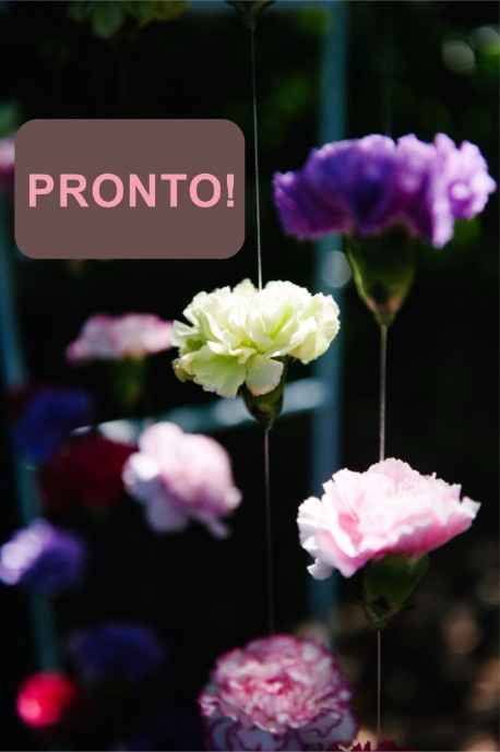 cortina de flores 