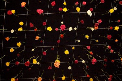 teto com flores