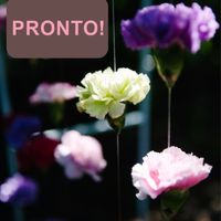 cortina de flores 