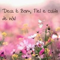 Gratidão e Ansiedade!