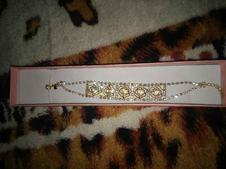 Vem ver minha pulseira por grande dia - 1