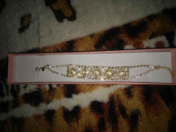 Vem ver minha pulseira por grande dia - 2