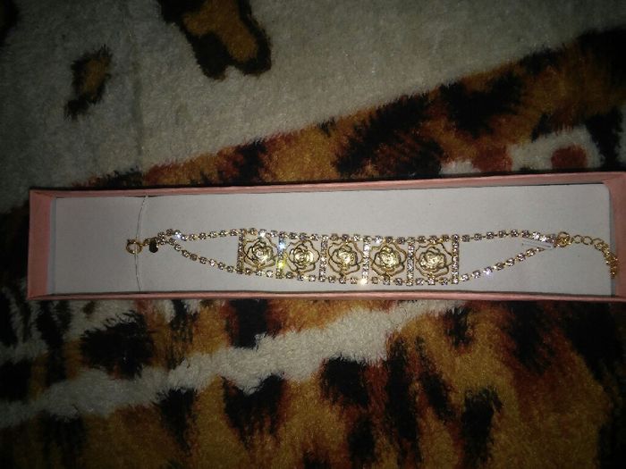 Vem ver minha pulseira por grande dia - 2
