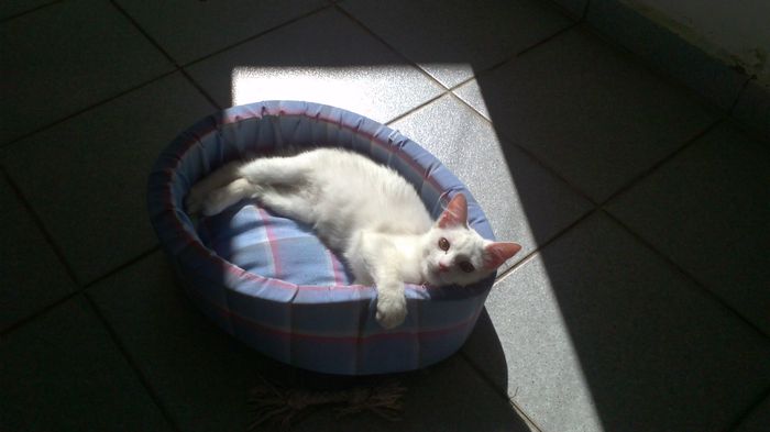 Marie