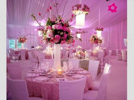 Casamento Rosa ( Decorações)