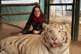 Lua de Mel em Buenos Aires #meucasamentotematico 2