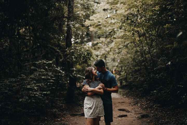 Floresta e o meu amor.